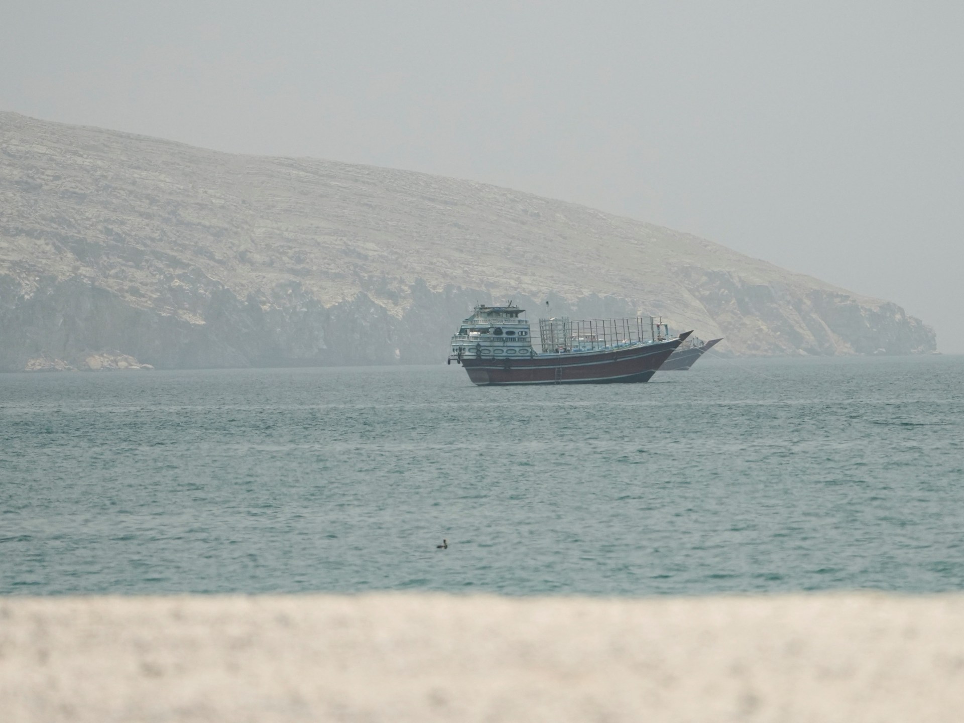 International Maritime Organization suspends Hormuz evacuation efforts following attack