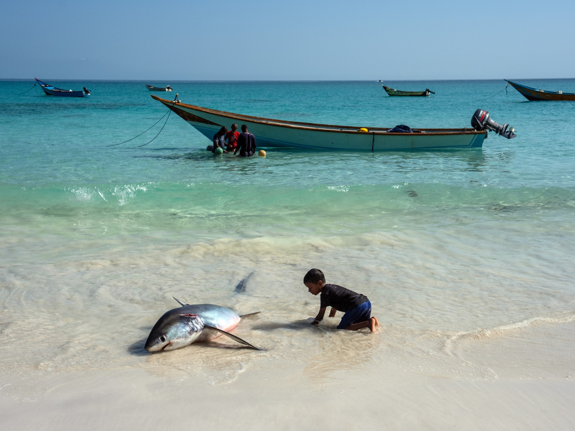 Oceans reach record high temperatures in June, scientists predict continued warming trend
