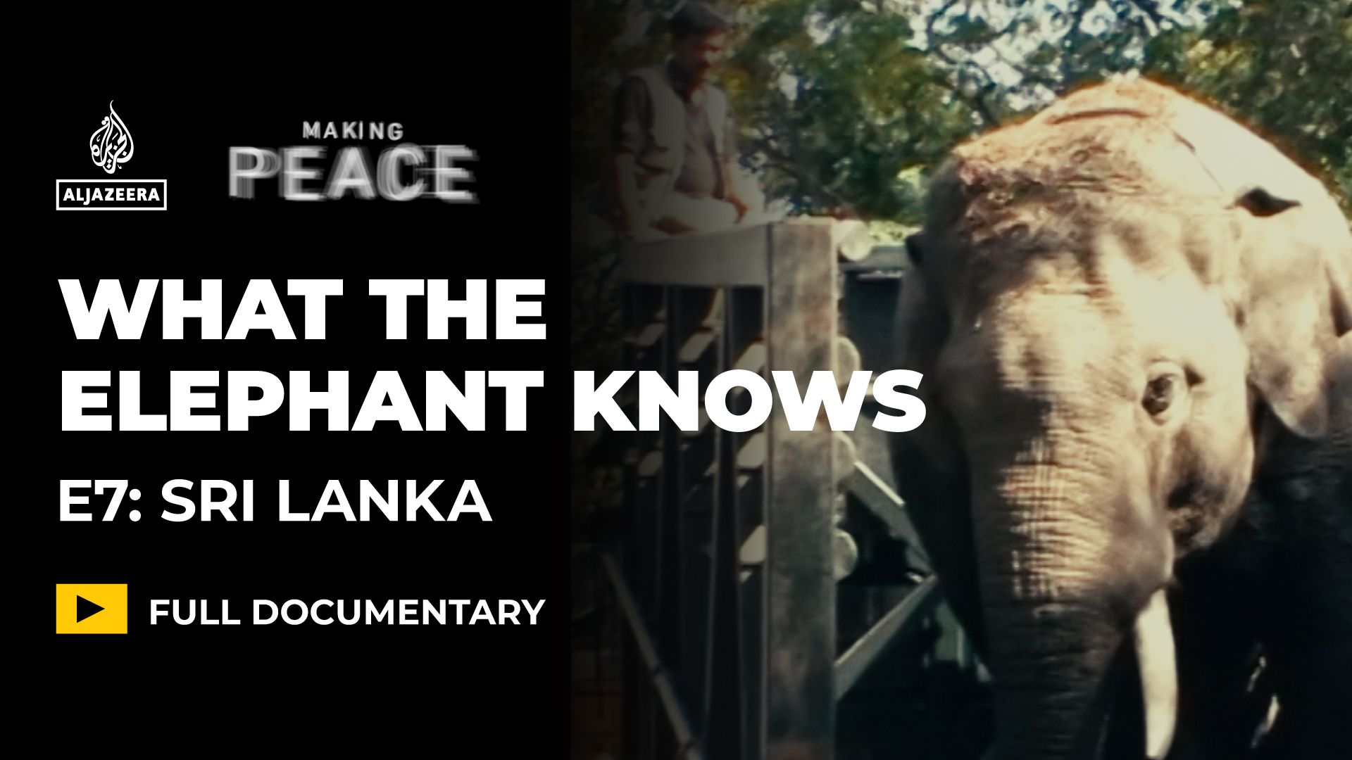 Sri Lanka to Follow Strict Guidelines for Elephant Conservation Efforts