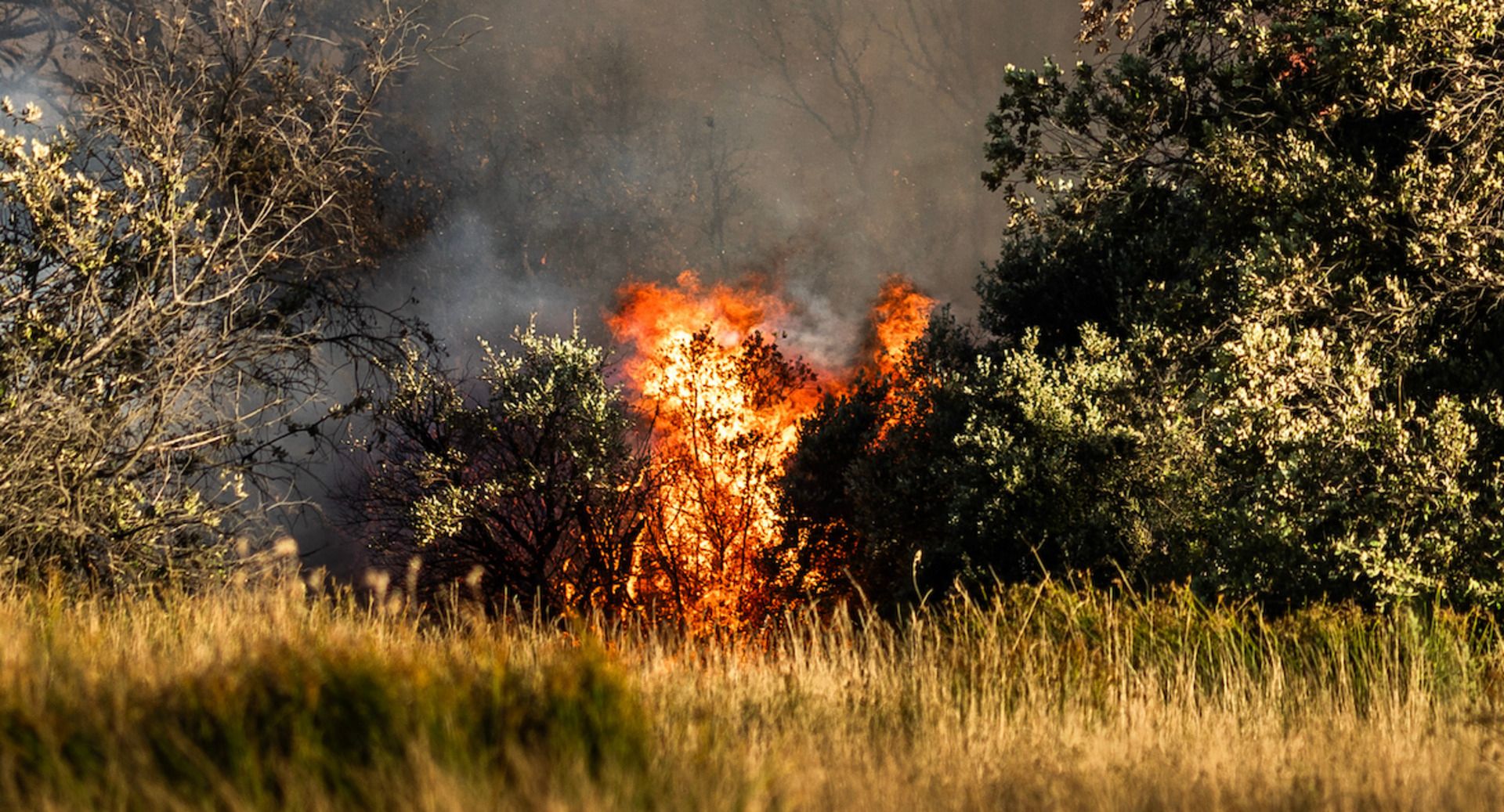 Thousands Evacuated in Wildfire That Rages Through Southern France ...