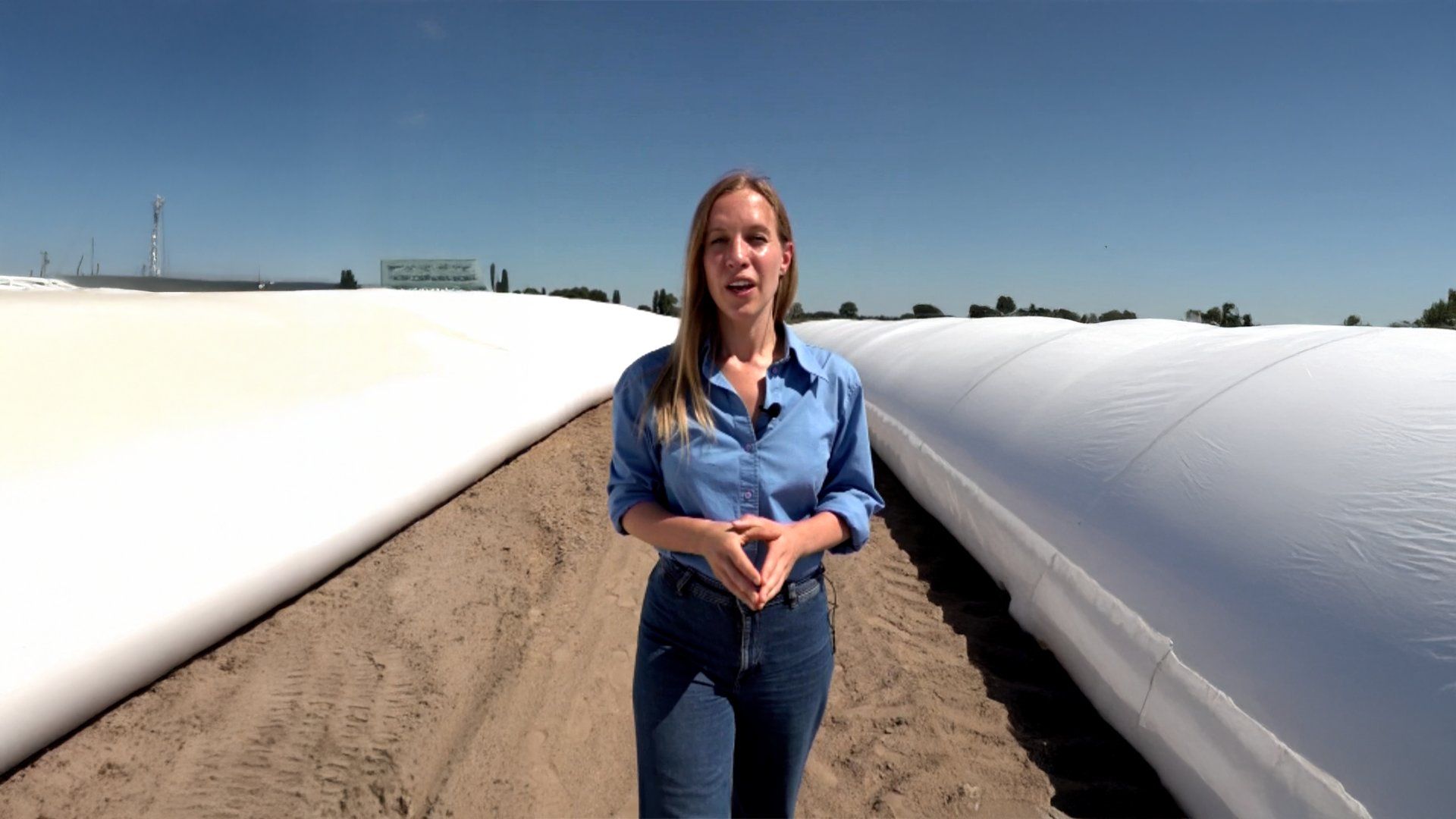 Ukrainian farmers implement temporary storage solutions for revived grain exports