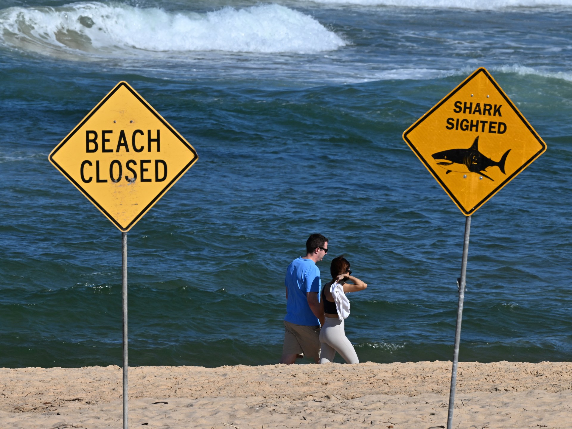Western Australian man killed by shark while swimming